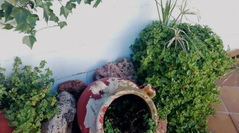 Photo 5 of Country house to rent in Calle Alta, 8d, Castillo de Locubín, Jaén