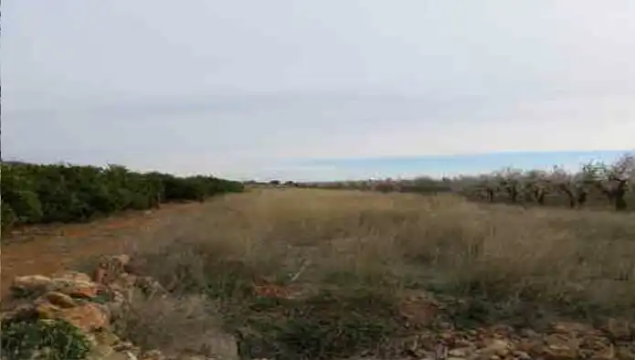 Rural land for sale in Ptda Bustalet, Varias parcelas, imagen 8