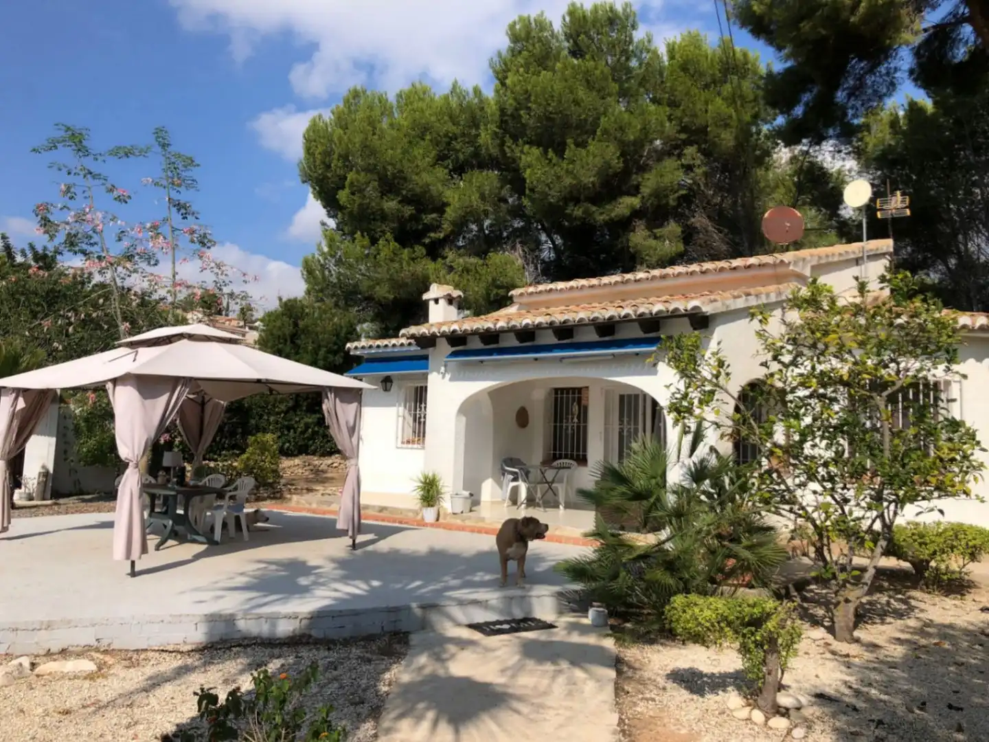 Detached house with garden for sale in Casco Urbano, imagen 5