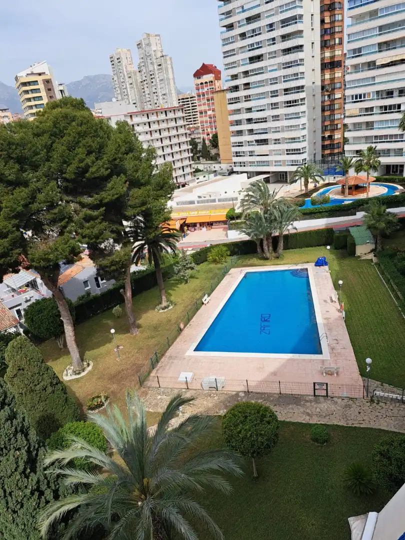 Swimming pool of Apartments for sale in Benidorm  with Air Conditioner, Terrace and Furnished