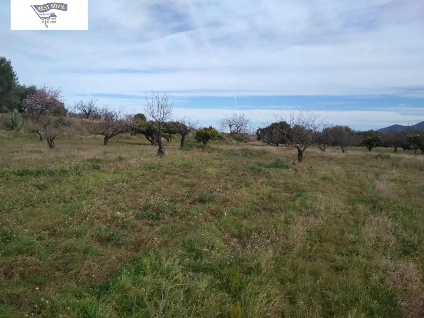 Terreni e lotti in vendita a Agullent, imagen 4