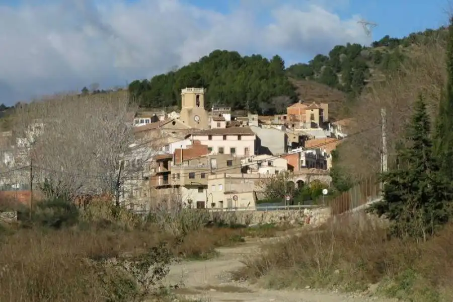 Terreni e lotti in vendita a Riudecols