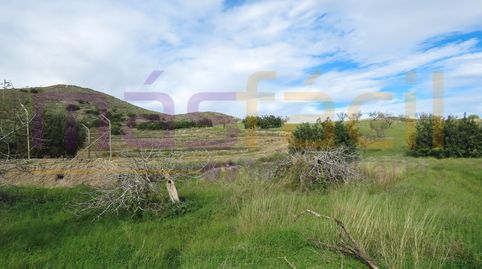 Foto 4 de Finca rústica en venta en Perín, Cartagena