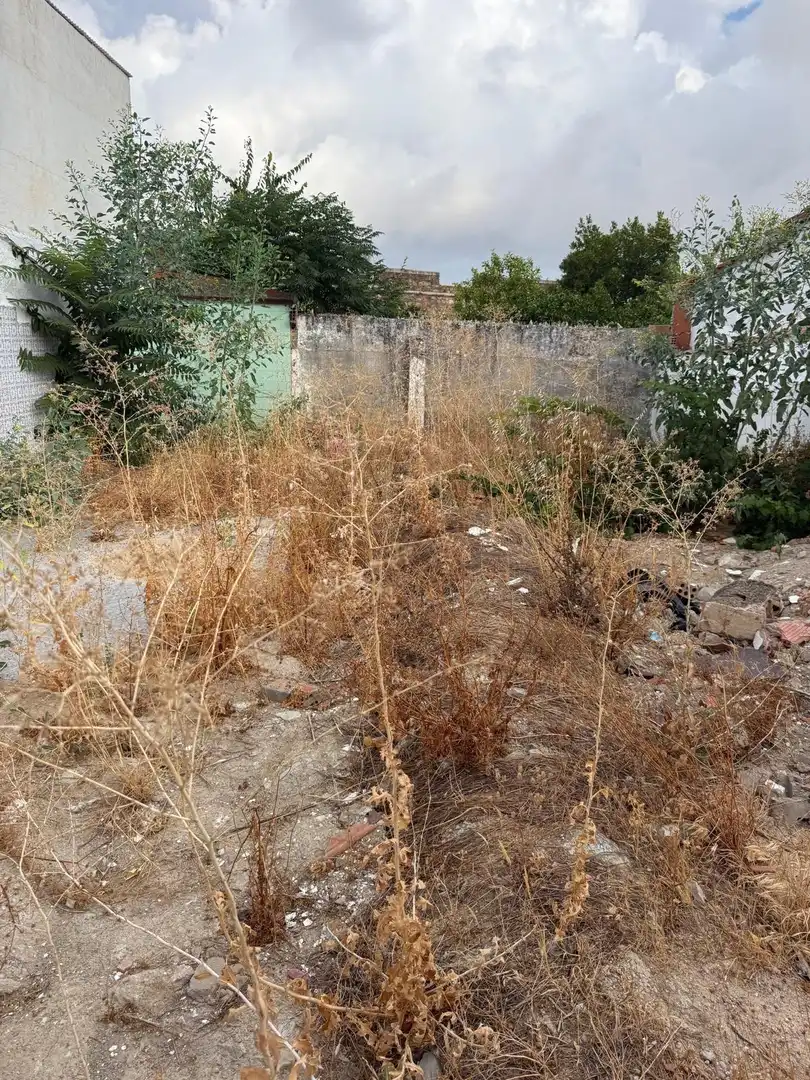 Lands and plots for sale in Olivenza, imagen 4