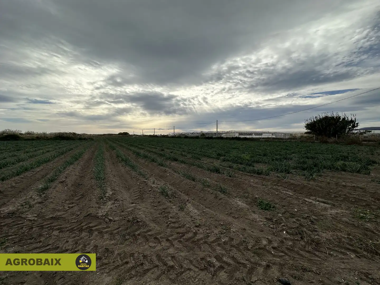 Rural land for sale in Torrent Ballester, imagen 24