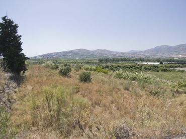Rural land for sale in Motril  ciudad