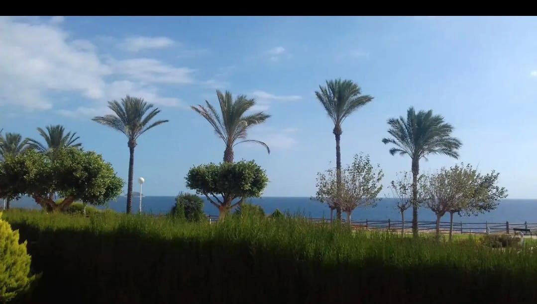 Apartament en venda en Villajoyosa / La Vila Joiosa amb Terrassa, Traster i Moblat