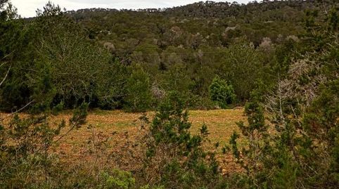 Foto 3 de Finca rústica en venta en Diseminado Berri, Cala Vedella - Cala Tarida, Sant Josep de sa Talaia
