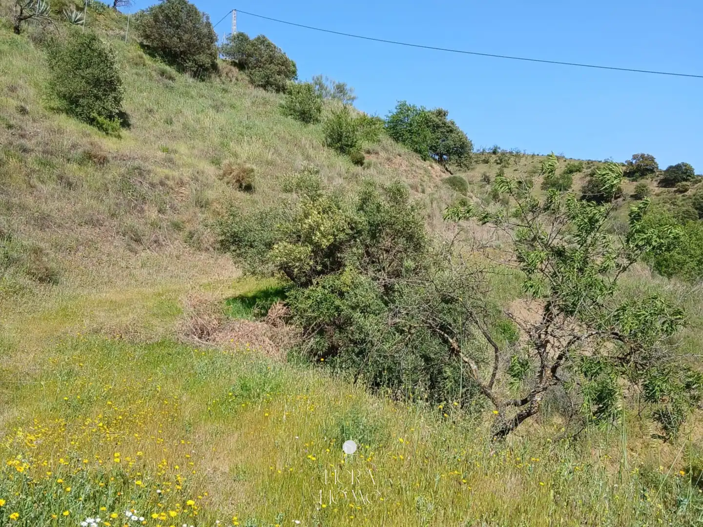 Grundstücke zum Verkauf in Carratraca