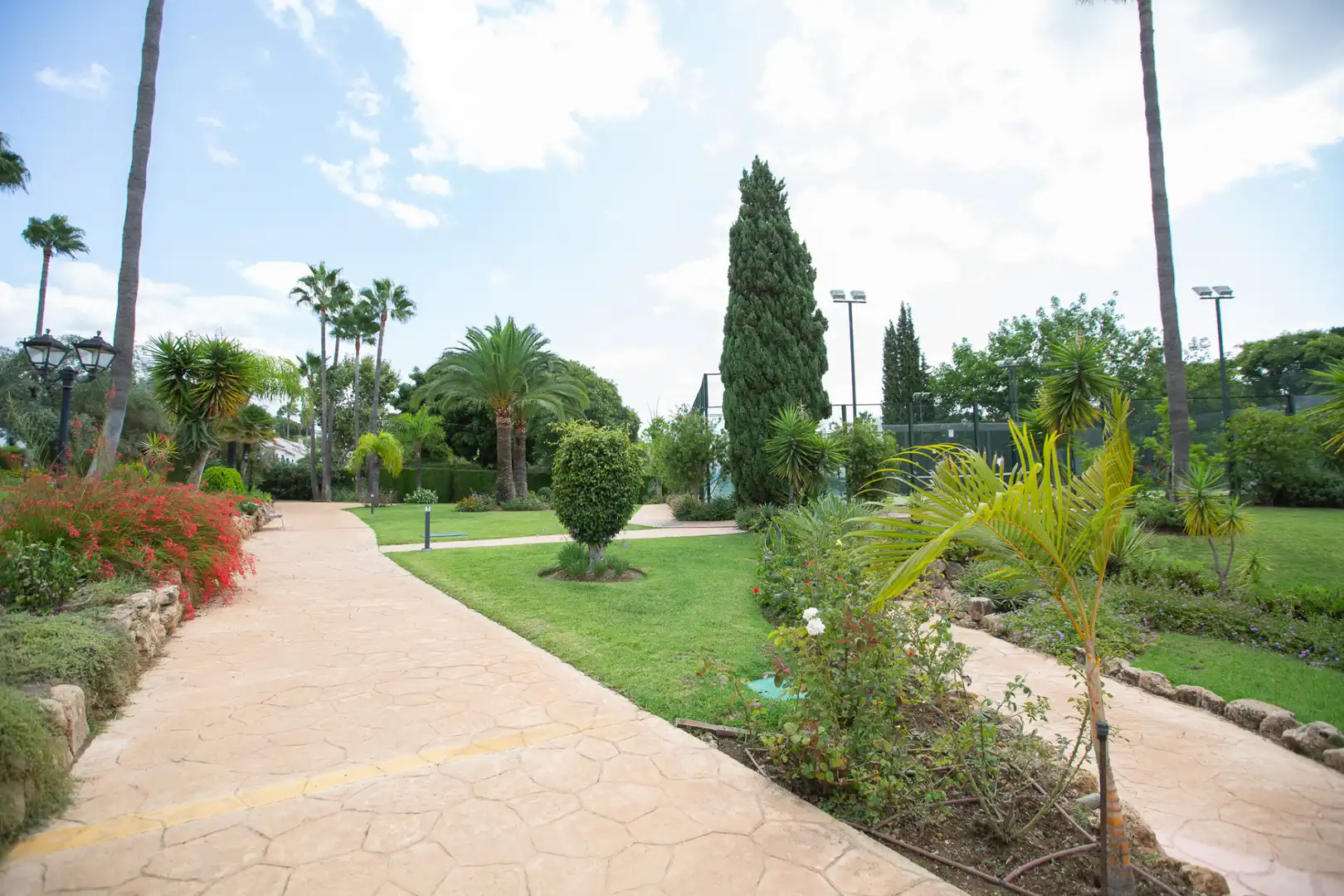 Penthouse with pool for sale in Milla de Oro, imagen 33