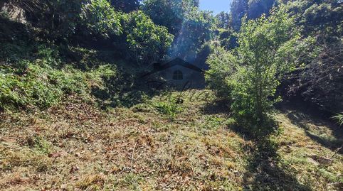 Foto 3 de Casa o xalet en venda a Carrer Carrer Olot, Niàgara Parc - Ágora Parc, Tordera