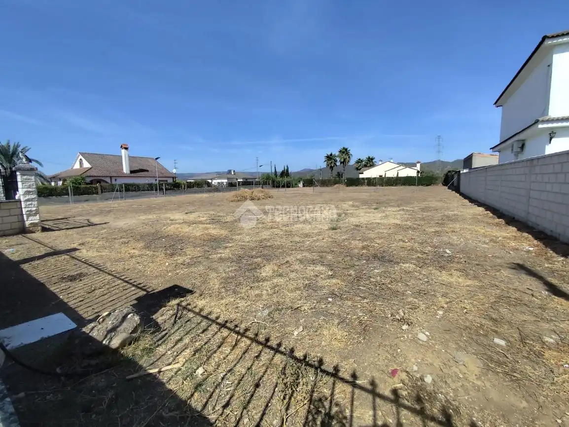 Terrain rustique à vendre à Alcolea, imagen 7