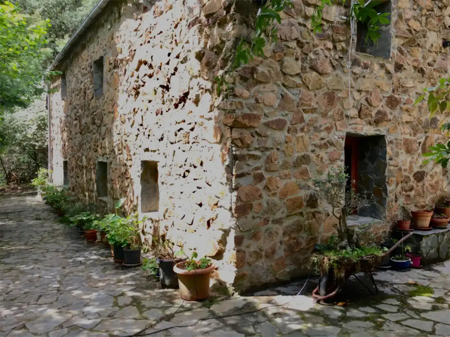 Vista exterior de Finca rústica en venda en Arbúcies