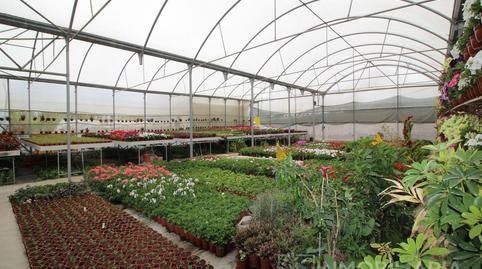 Photo 5 of Industrial buildings for sale in N/a, Alquería - Torrealquería, Málaga