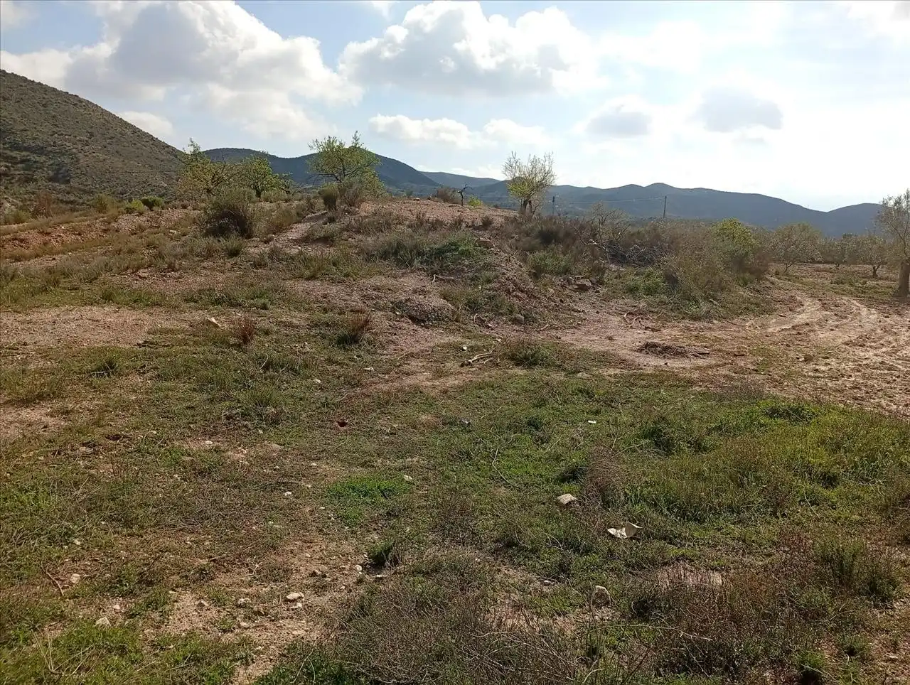 Terreny residencial en venda a Polígono 18 Parcela 147 HIGUERA. ALBOX (ALMERÍA), imagen 10