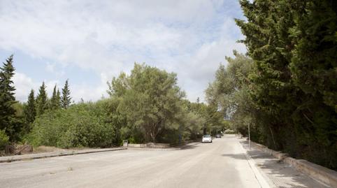 Photo 2 of Land for sale in Bacarés - Manresa  - Bonaire, Alcúdia