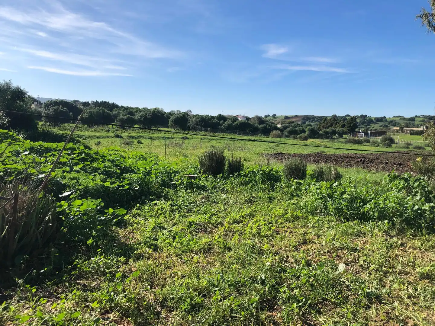 Country house for sale in Vejer, imagen 24