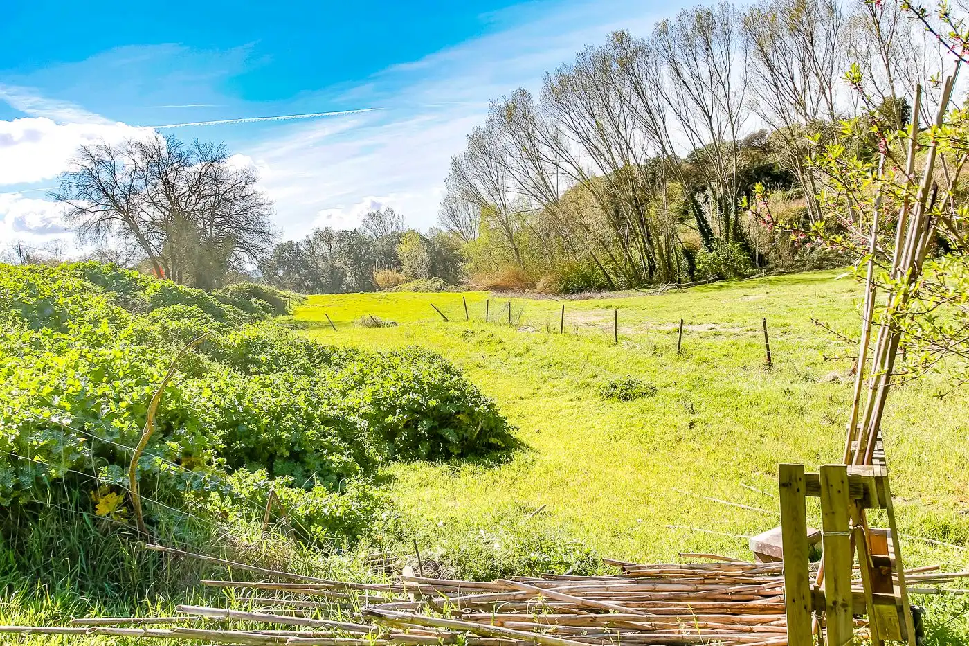 Finca rústica en venta en Sant Antoni de Vilamajor