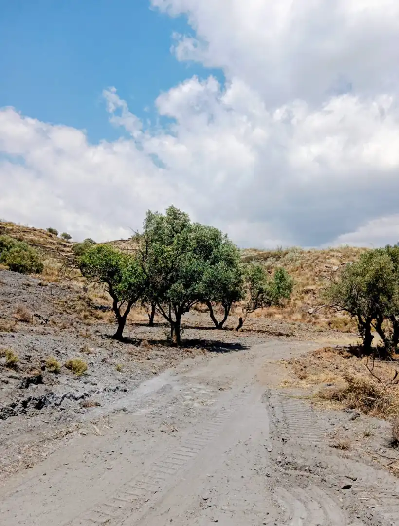 Rural land for sale in Calle Almeria, imagen 3