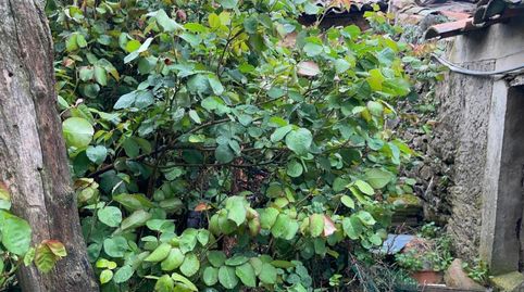 Foto 5 de Finca rústica en venda a Calle Cuestica, 46, Villaseco del Pan, Zamora