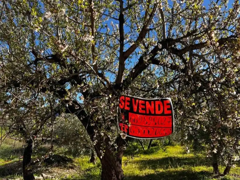 Garden of Land for sale in Gójar