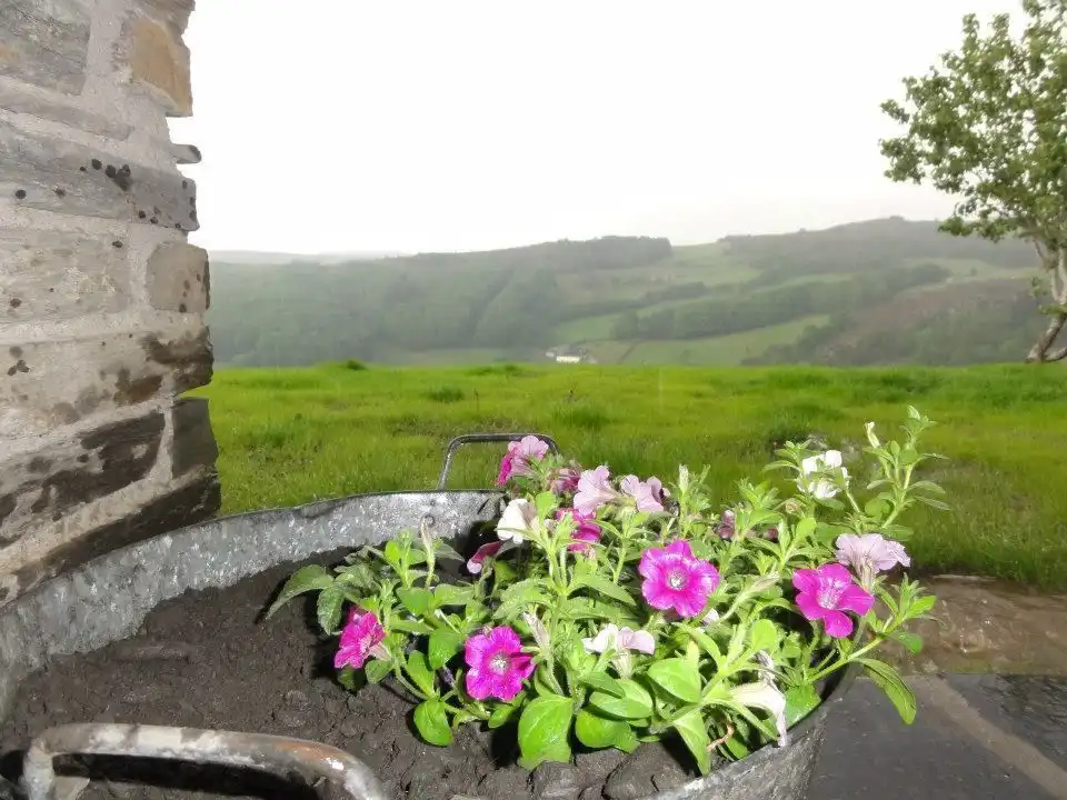 Casa en venta en Villanueva de Oscos, imagen 33