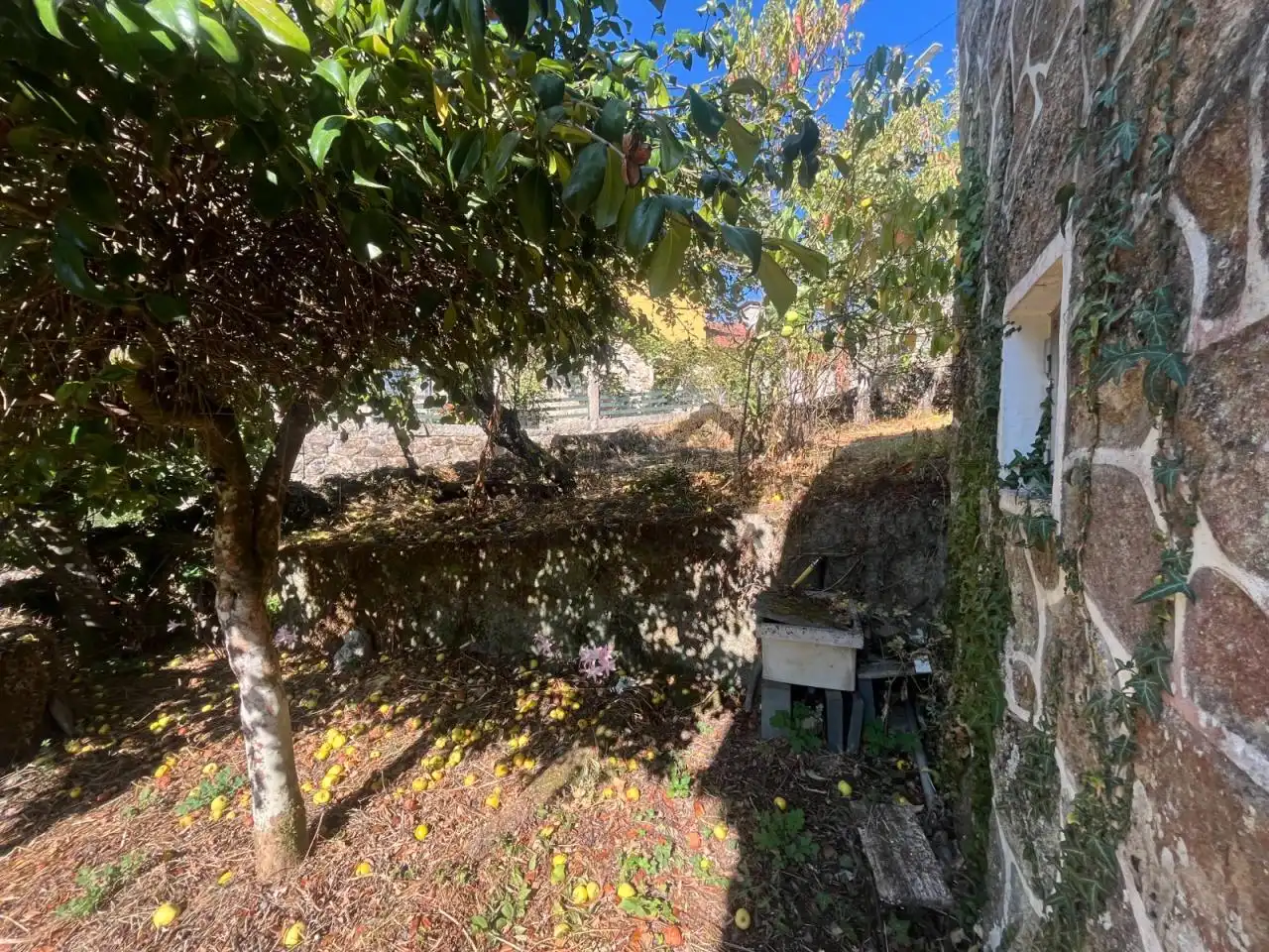 Casa o xalet en venda en Ourense Capital  amb Calefacció, Jardí privat i Terrassa