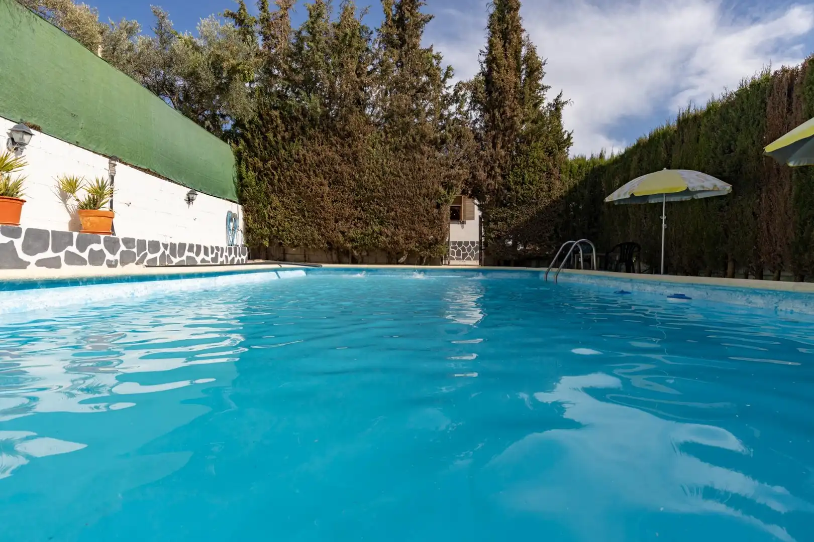 Piscina de Finca rústica en venta en Cogollos de la Vega con Jardín privado y Piscina