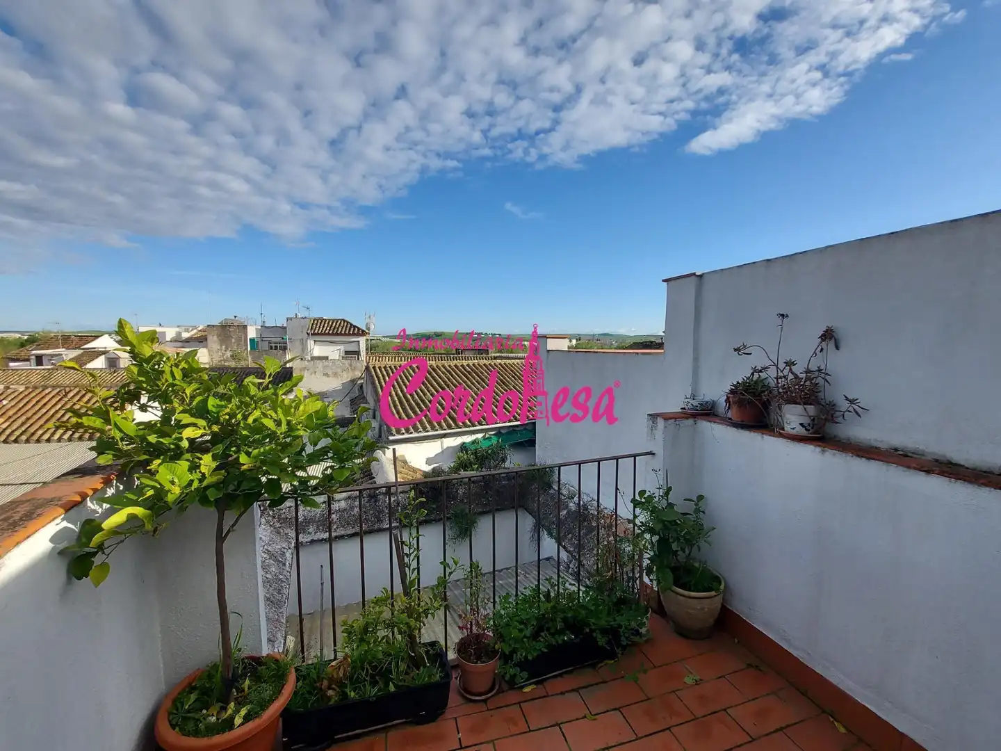 Casa amb terrassa en venda a Centro, imagen 40