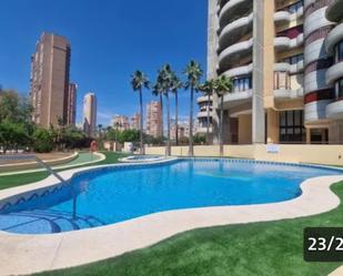 Swimming pool of Flat to rent in Benidorm  with Air Conditioner, Terrace and Balcony