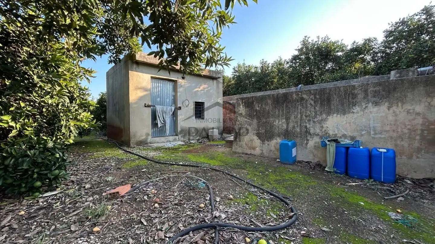 Terreno rustico in vendita a Carcaixent, imagen 2