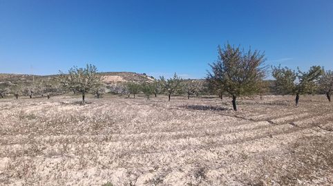 Foto 4 de Terreno en venta en Cañada Hermosa, Murcia Capital