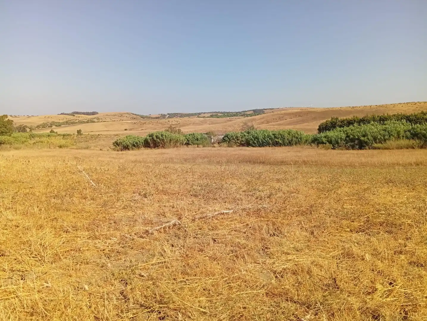 Casa rústica en venda a Medina Sidonia, imagen 24