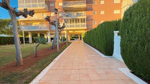 Photo 3 of Study to rent in Carrer Rafael Balaguer, La Curva, Castellón