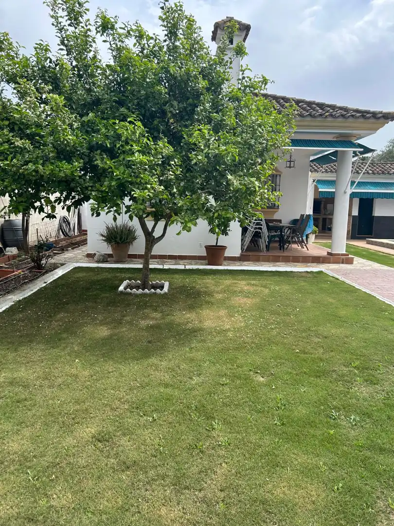 Chalet con piscina en venta en Arcos de la Frontera, imagen 15