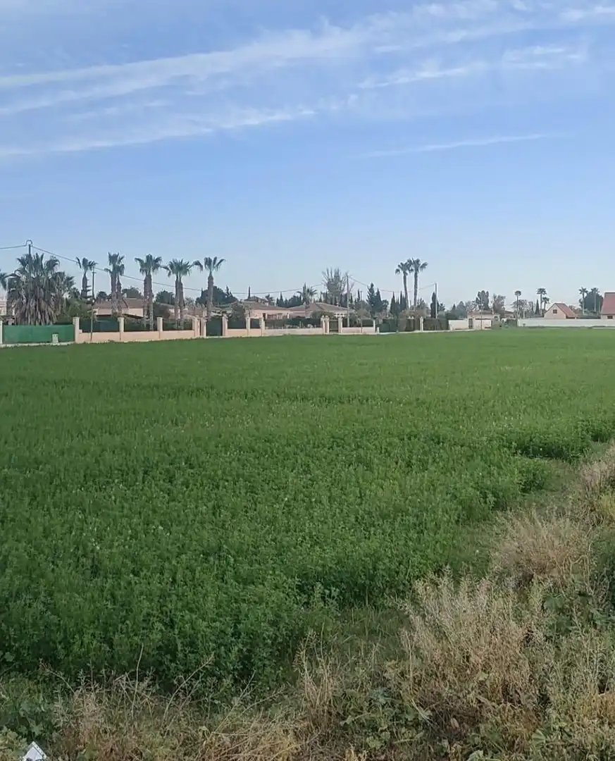 Residential for sale in Catral