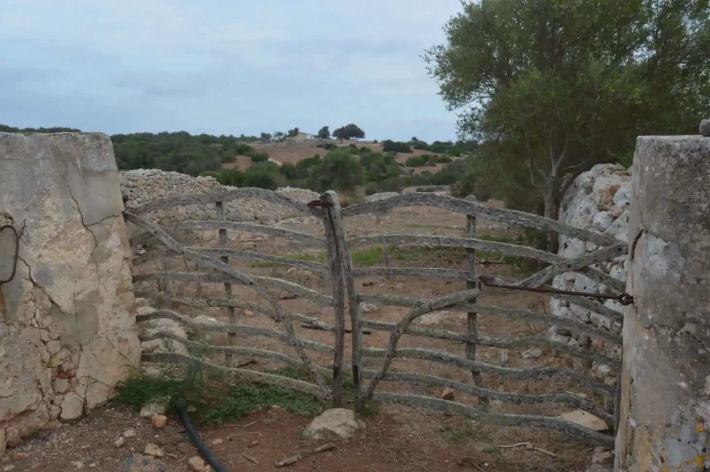 Country homes for sale in Ferreries poble