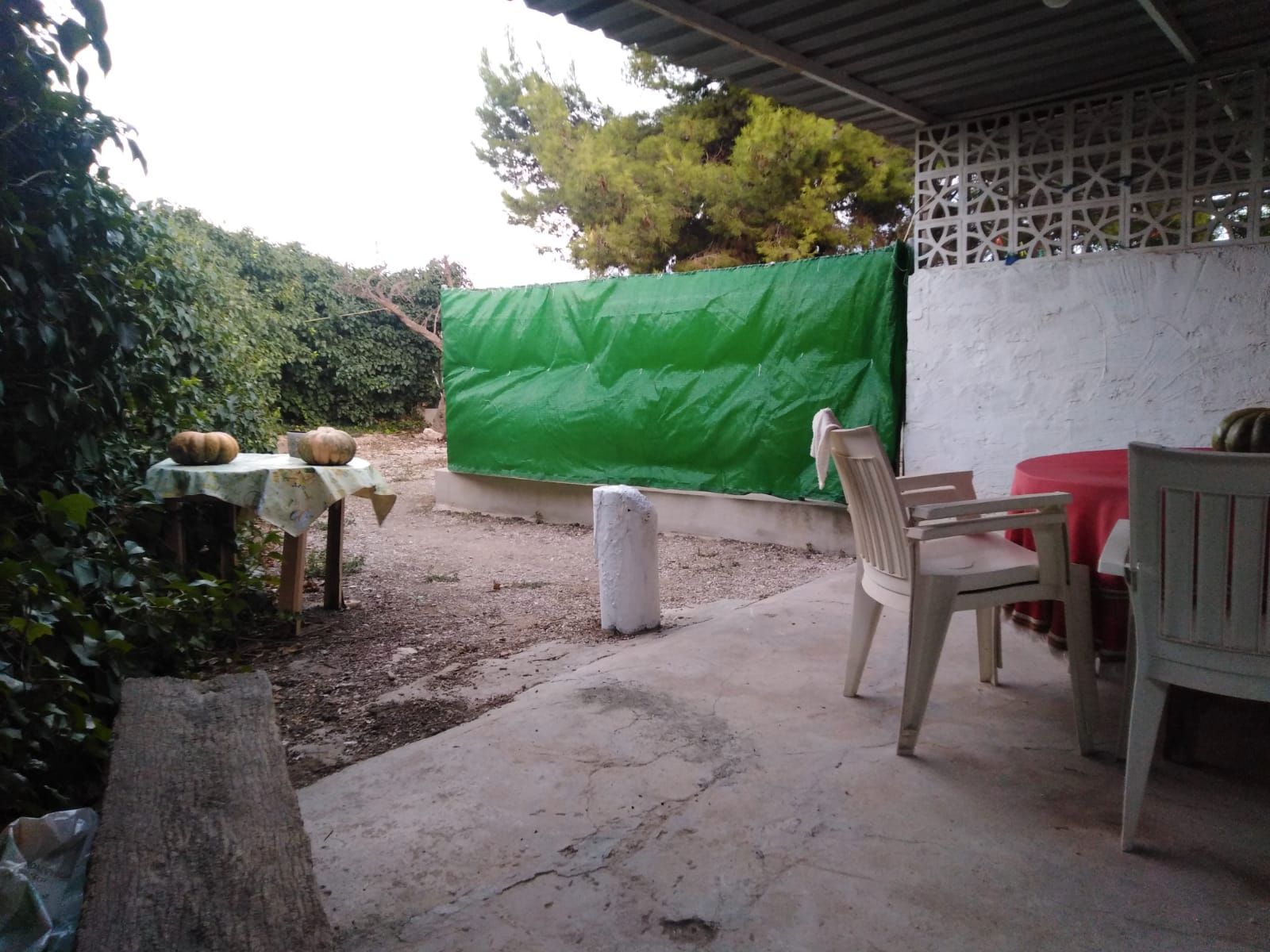 Jardí de Casa adosada de lloguer en Elche / Elx amb Moblat i Es permeten mascotes
