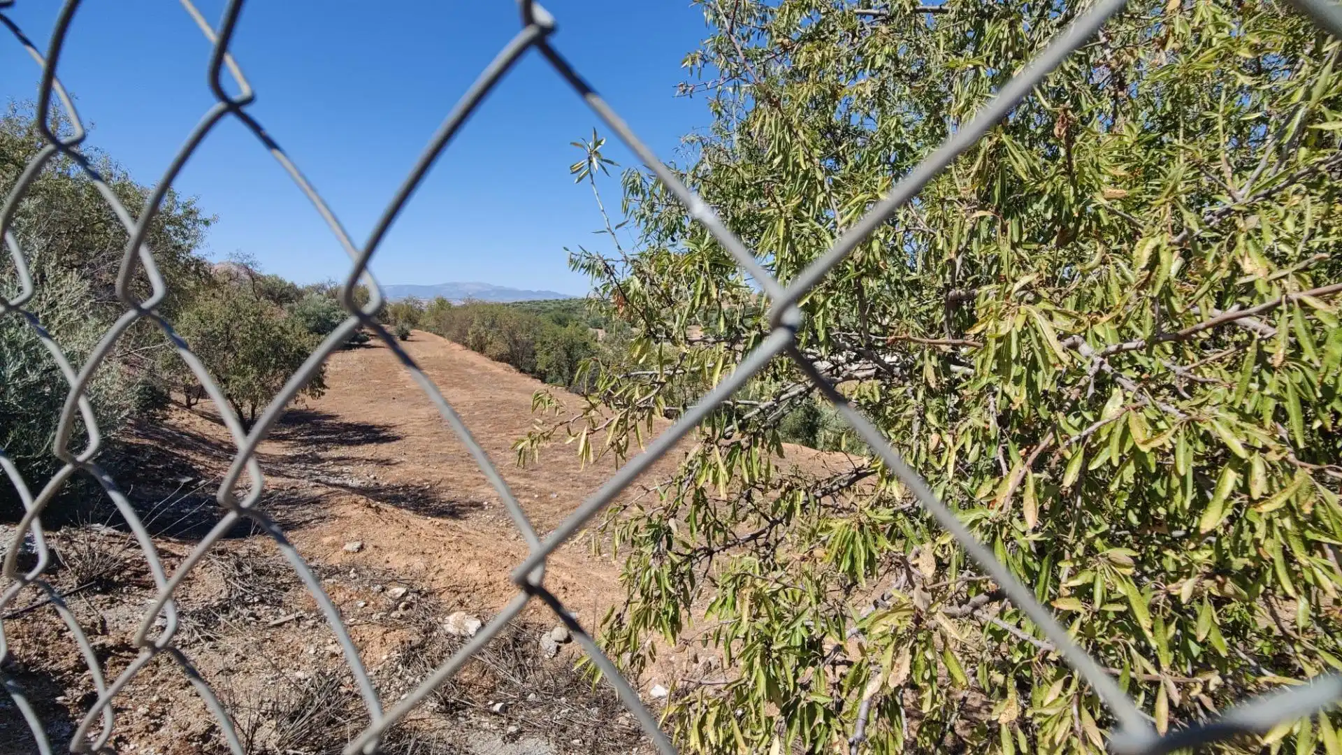 Terrenos y solares en venta en Centro de Albolote, imagen 2