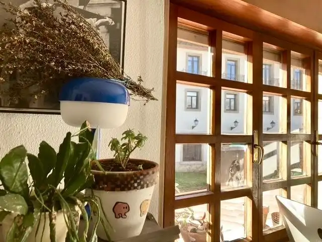 Wohnungen zur Miete in Oviedo  mit Heizung und Möbliert