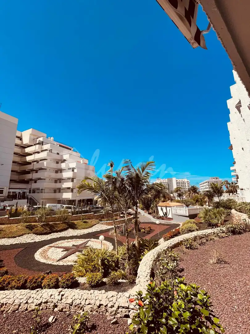 Studio à vendre à Playa de las Américas, imagen 11