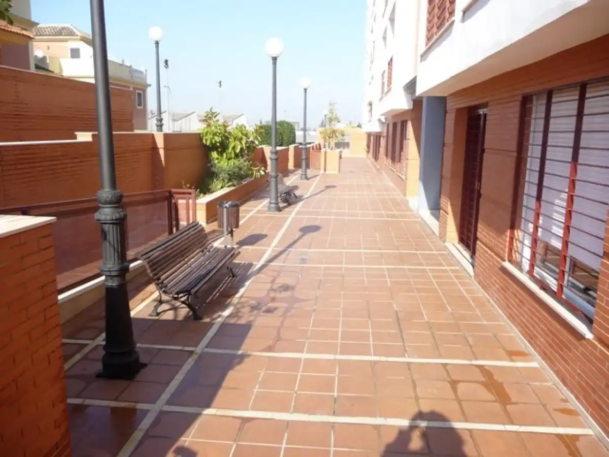 Estudi amb terrassa de lloguer a La Motilla - Fuente del Rey, imagen 5