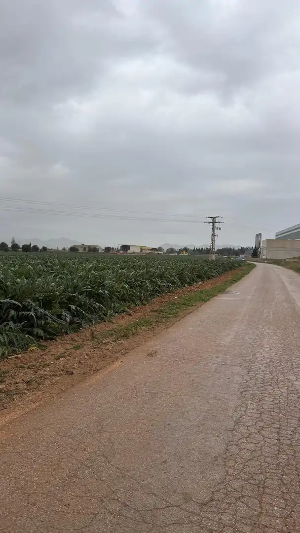 Terreno en venta en Murcia