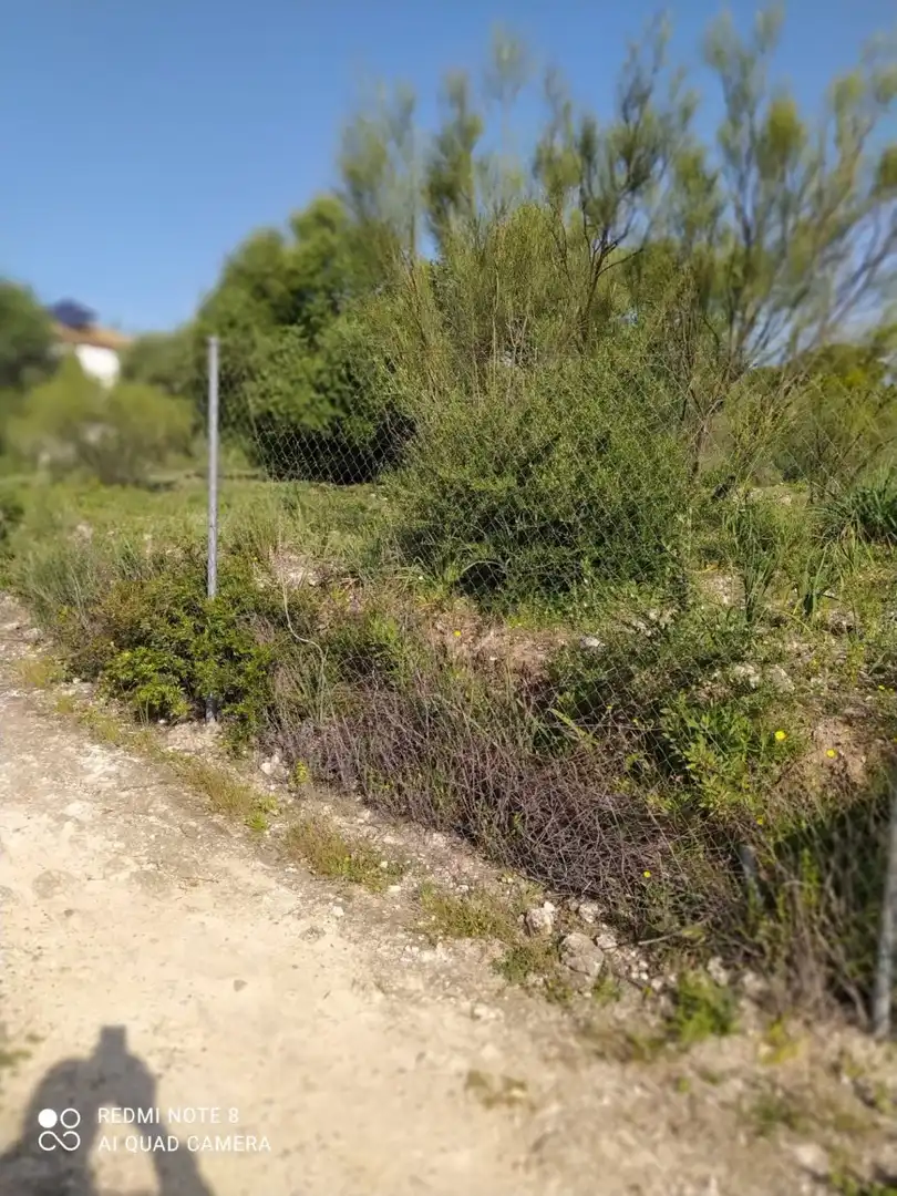 Residential land for sale in Almodóvar del Río