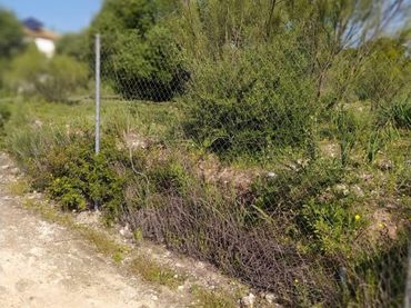 Wohnbaugrundstück zum Verkauf in Almodóvar del Río
