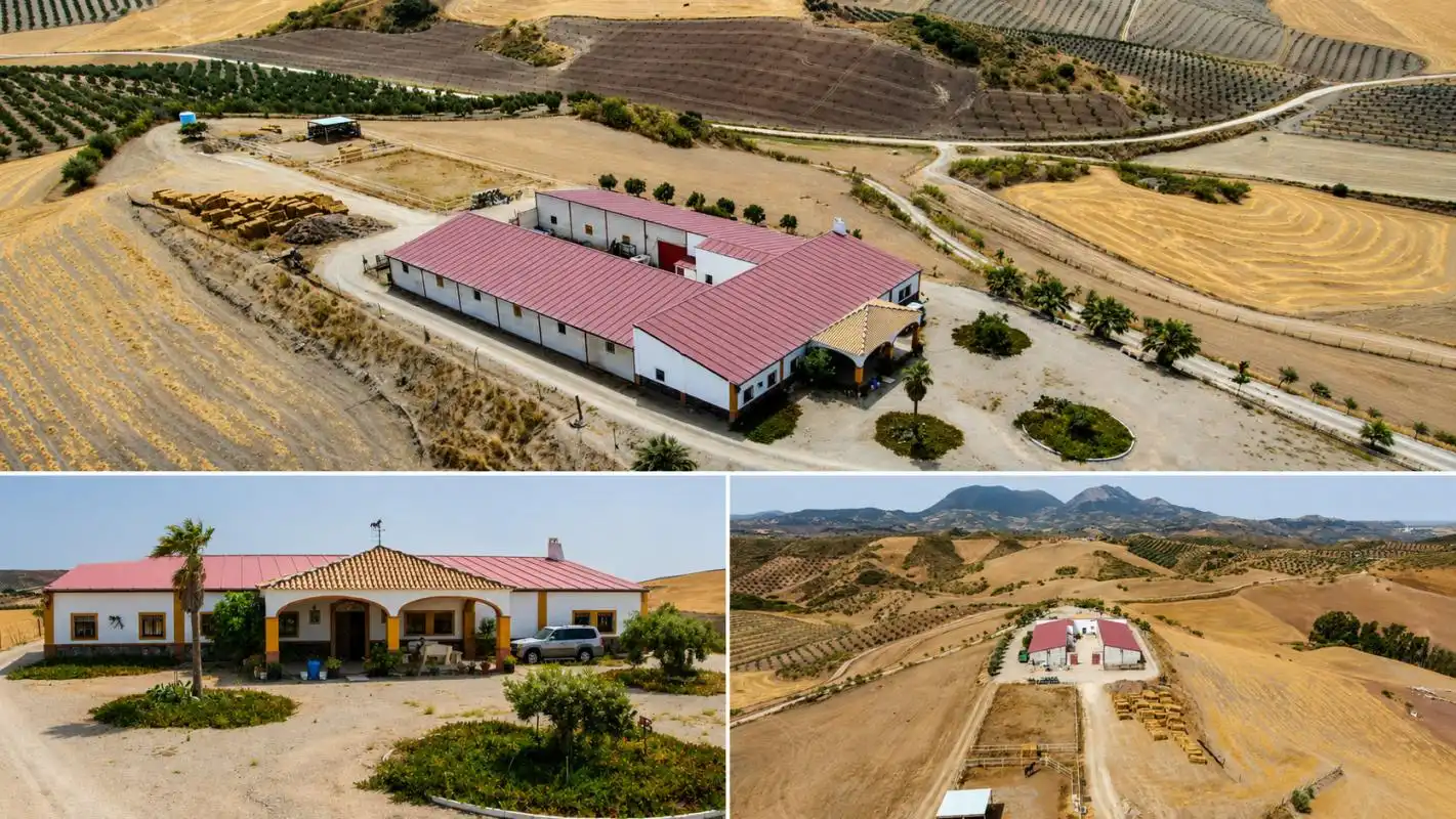 Vista exterior de Finca rústica en venda en El Saucejo amb Aire condicionat, Calefacció i Moblat