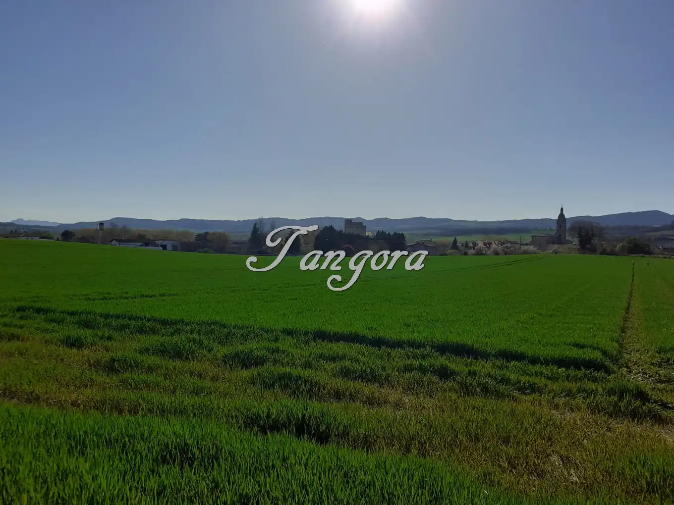 Industrial land for sale in La Puebla de Arganzón 