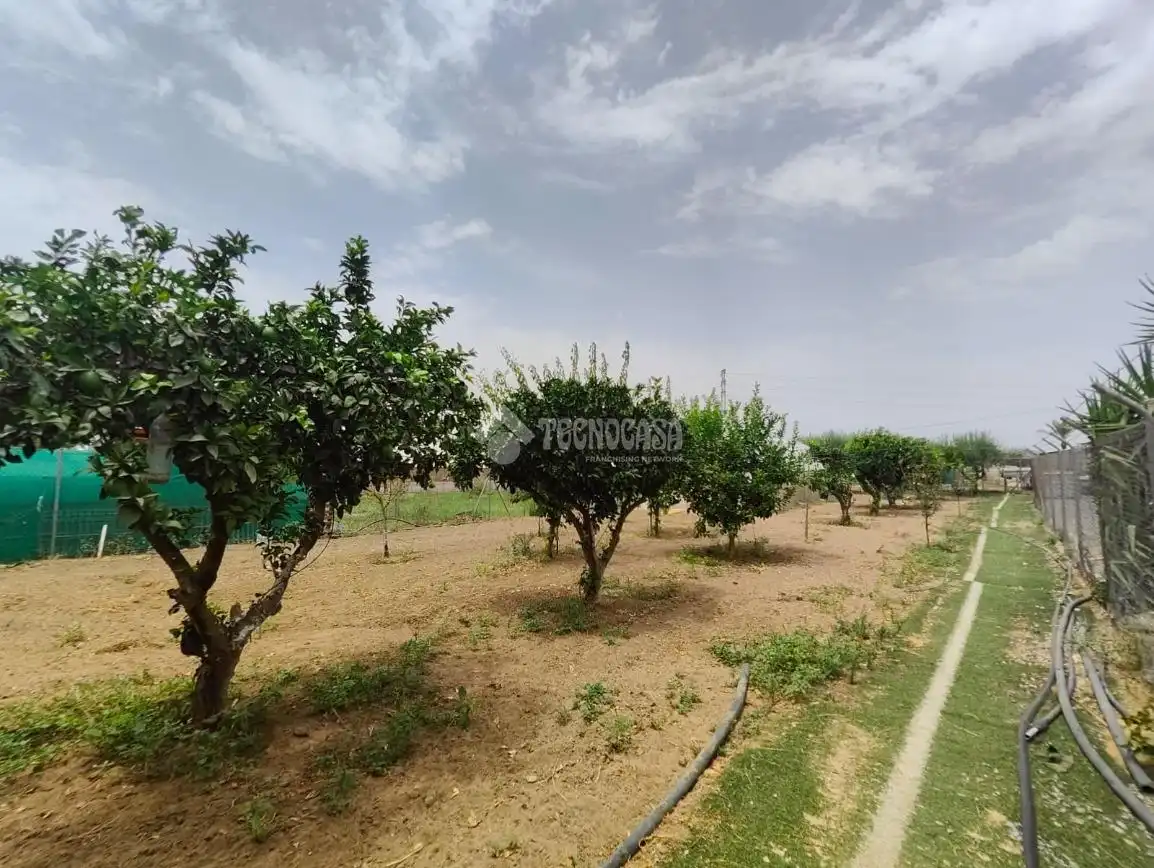 Casa rústica amb jardí en venda a Los Palacios y Villafranca, imagen 30