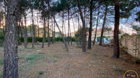 Photo 5 of Residential for sale in Calle Romero (ur S.pinar), Alameda, Cuenca