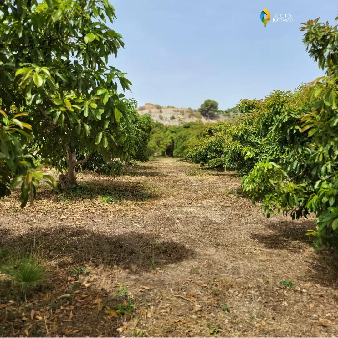 Terreno en venta en Motril  ciudad